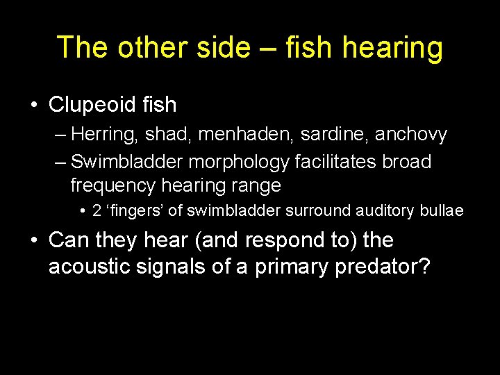The other side – fish hearing • Clupeoid fish – Herring, shad, menhaden, sardine,