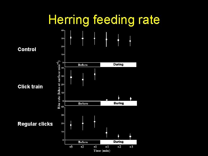 Herring feeding rate Control Click train Regular clicks 