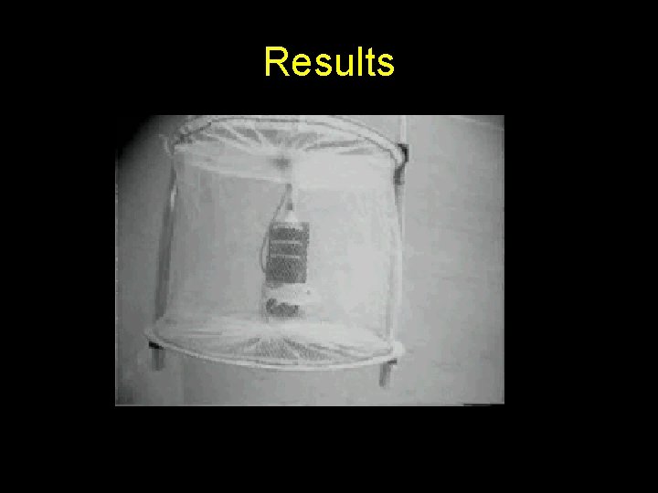 Results 