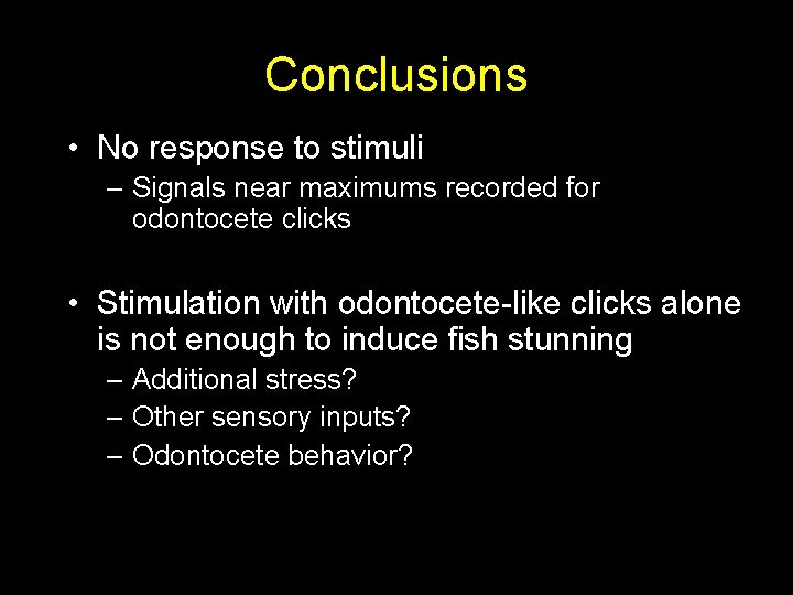 Conclusions • No response to stimuli – Signals near maximums recorded for odontocete clicks