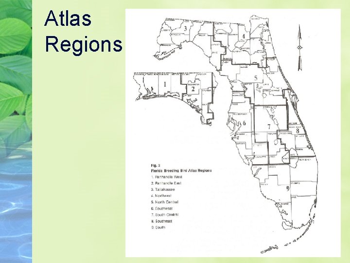 Atlas Regions 