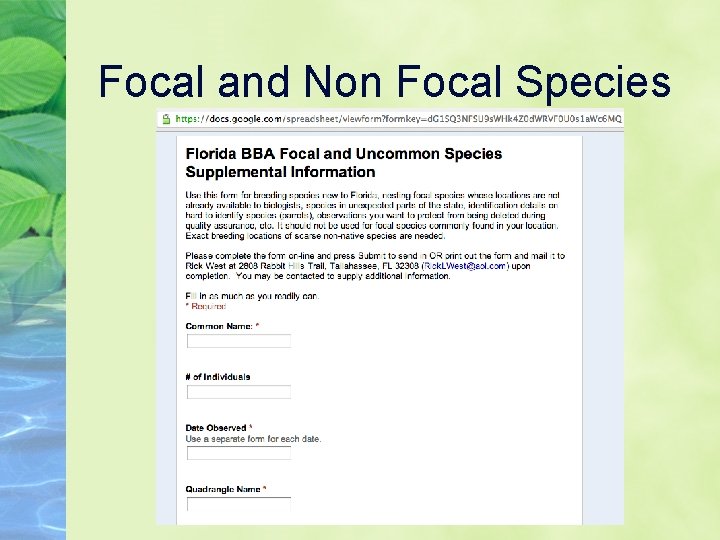 Focal and Non Focal Species 