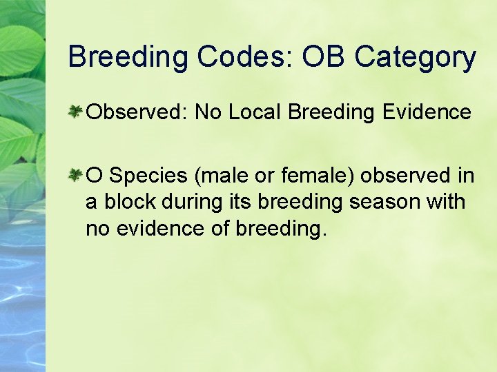 Breeding Codes: OB Category Observed: No Local Breeding Evidence O Species (male or female)
