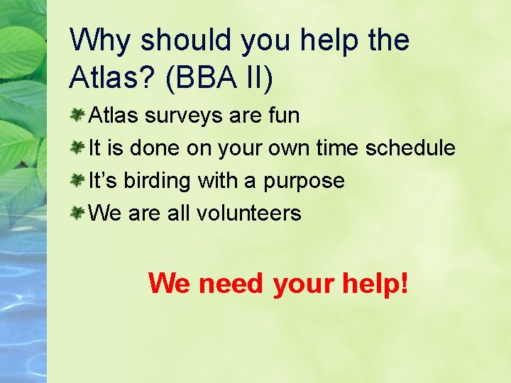 Why should you help the Atlas? (BBA II) Atlas surveys are fun It is