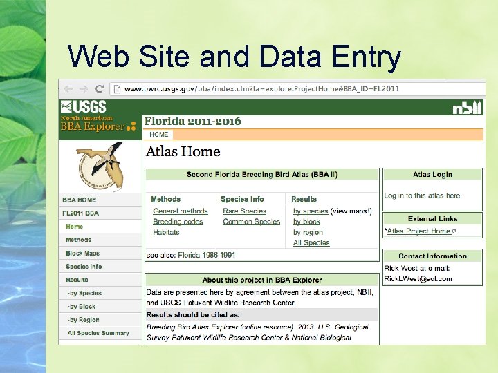 Web Site and Data Entry 