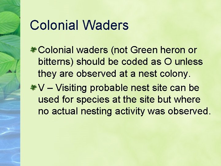 Colonial Waders Colonial waders (not Green heron or bitterns) should be coded as O