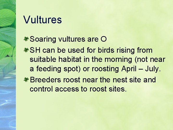 Vultures Soaring vultures are O SH can be used for birds rising from suitable