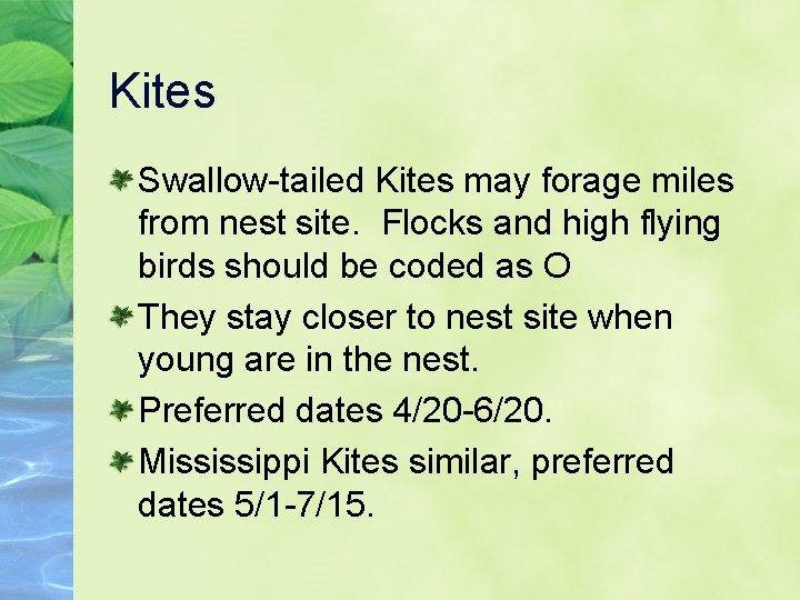 Kites Swallow-tailed Kites may forage miles from nest site. Flocks and high flying birds