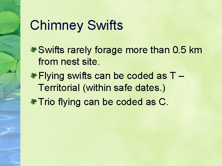 Chimney Swifts rarely forage more than 0. 5 km from nest site. Flying swifts