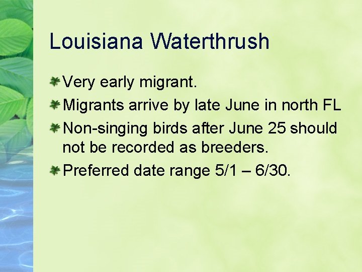 Louisiana Waterthrush Very early migrant. Migrants arrive by late June in north FL Non-singing