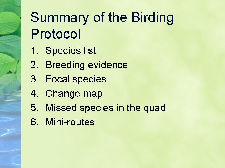 Summary of the Birding Protocol 1. 2. 3. 4. 5. 6. Species list Breeding