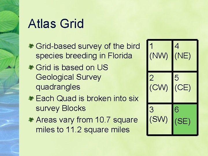 Atlas Grid-based survey of the bird species breeding in Florida Grid is based on