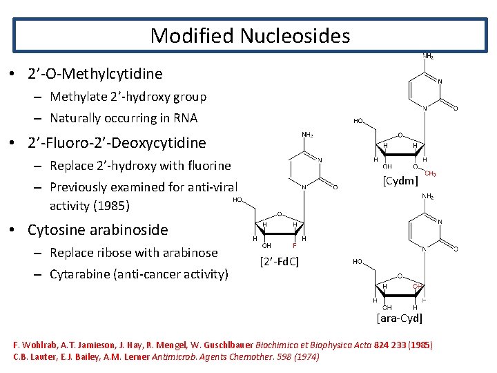 Modified Nucleosides • 2’-O-Methylcytidine – Methylate 2’-hydroxy group – Naturally occurring in RNA •