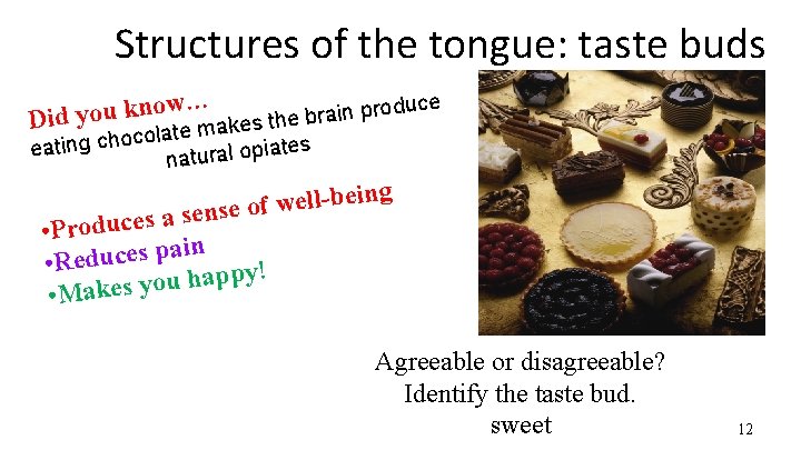 Structures of the tongue: taste buds … w duce o o n r p