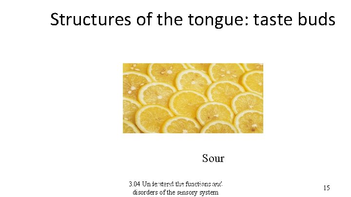 Structures of the tongue: taste buds Agreeabl. Soure or disagreeable? 3. 04 Understand the