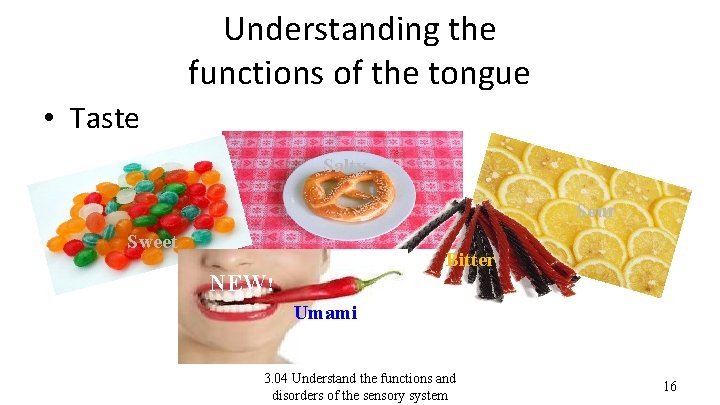 Understanding the functions of the tongue • Taste Salty Sour Sweet Bitter NEW! Umami
