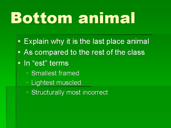 Bottom animal § § § Explain why it is the last place animal As