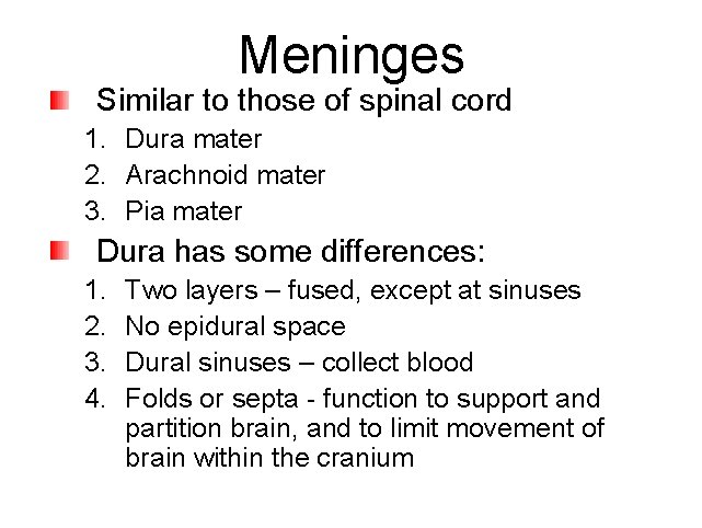 Meninges Similar to those of spinal cord 1. Dura mater 2. Arachnoid mater 3.
