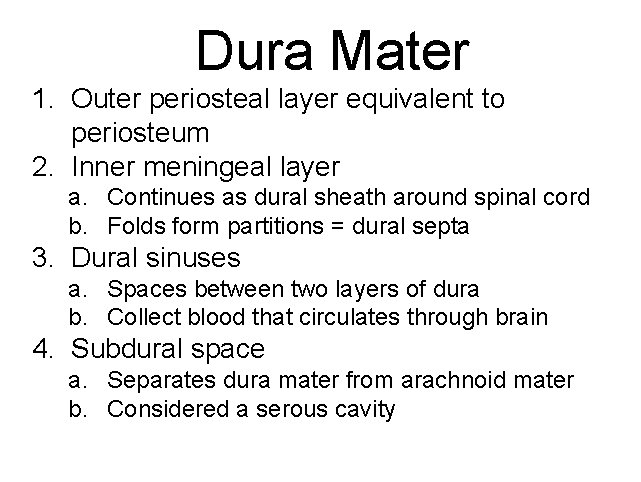 Dura Mater 1. Outer periosteal layer equivalent to periosteum 2. Inner meningeal layer a.