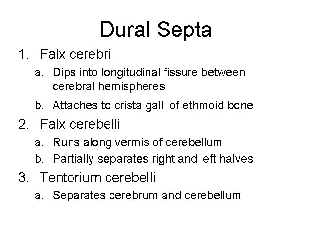 Dural Septa 1. Falx cerebri a. Dips into longitudinal fissure between cerebral hemispheres b.
