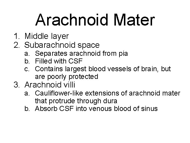 Arachnoid Mater 1. Middle layer 2. Subarachnoid space a. Separates arachnoid from pia b.