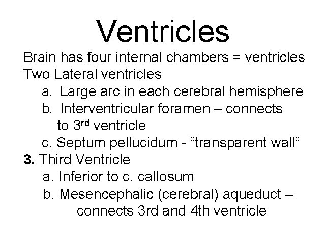 Ventricles Brain has four internal chambers = ventricles Two Lateral ventricles a. Large arc