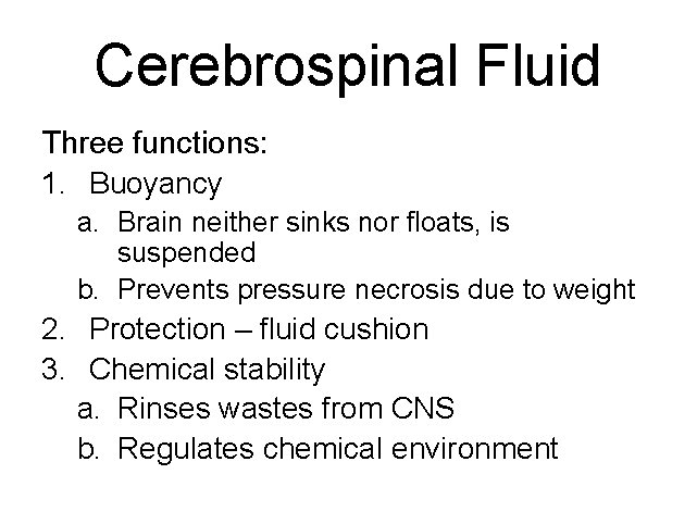 Cerebrospinal Fluid Three functions: 1. Buoyancy a. Brain neither sinks nor floats, is suspended