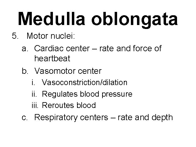 Medulla oblongata 5. Motor nuclei: a. Cardiac center – rate and force of heartbeat