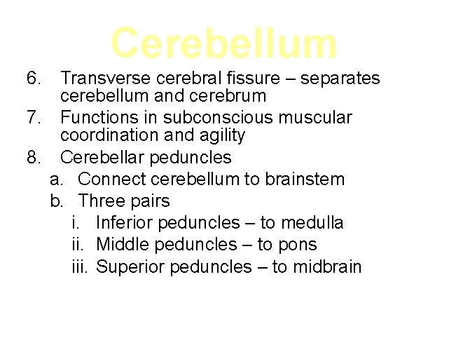 Cerebellum 6. Transverse cerebral fissure – separates cerebellum and cerebrum 7. Functions in subconscious