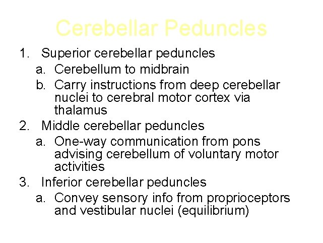 Cerebellar Peduncles 1. Superior cerebellar peduncles a. Cerebellum to midbrain b. Carry instructions from