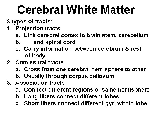 Cerebral White Matter 3 types of tracts: 1. Projection tracts a. Link cerebral cortex