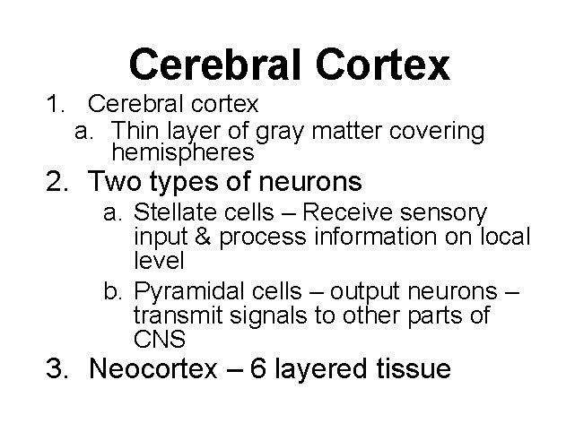 Cerebral Cortex 1. Cerebral cortex a. Thin layer of gray matter covering hemispheres 2.