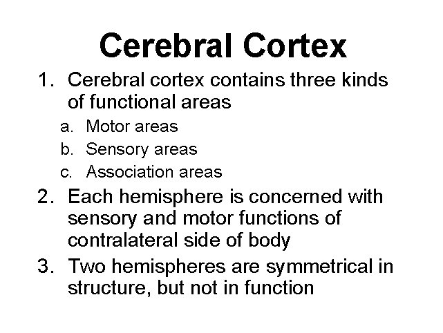Cerebral Cortex 1. Cerebral cortex contains three kinds of functional areas a. Motor areas