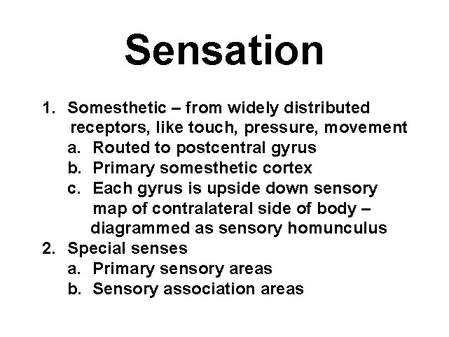 Sensation 1. Somesthetic – from widely distributed receptors, like touch, pressure, movement a. Routed