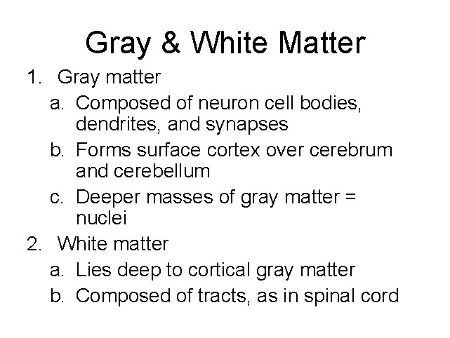 Gray & White Matter 1. Gray matter a. Composed of neuron cell bodies, dendrites,