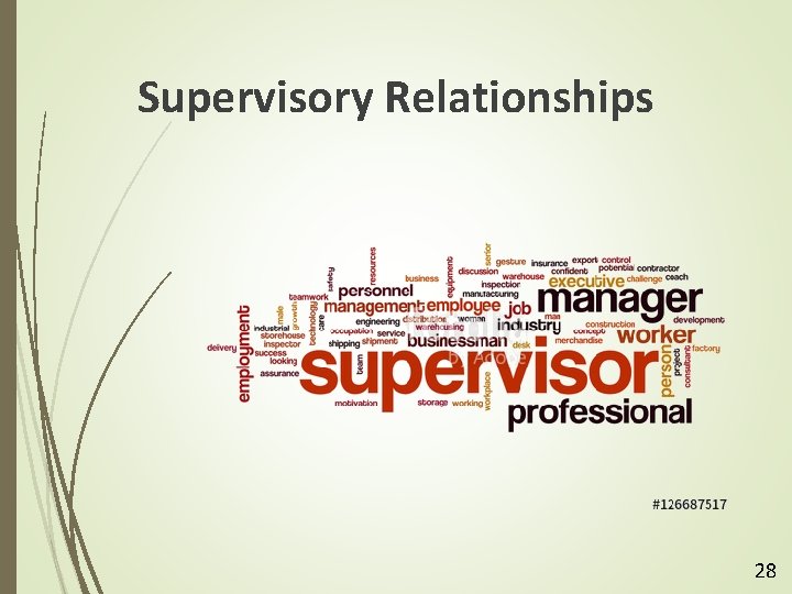 Supervisory Relationships 28 