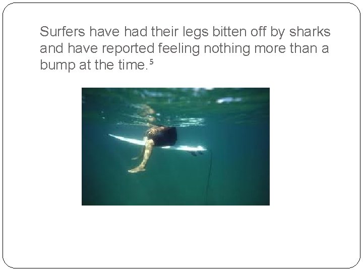 Surfers have had their legs bitten off by sharks and have reported feeling nothing