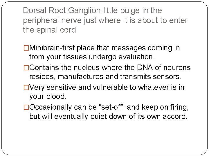 Dorsal Root Ganglion-little bulge in the peripheral nerve just where it is about to
