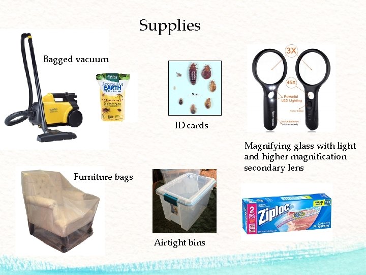 Supplies Bagged vacuum ID cards Magnifying glass with light and higher magnification secondary lens