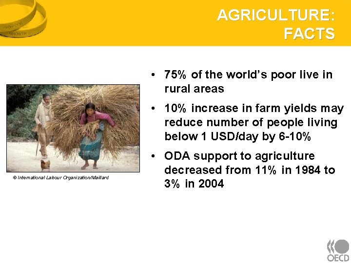 AGRICULTURE: FACTS • 75% of the world’s poor live in rural areas • 10%