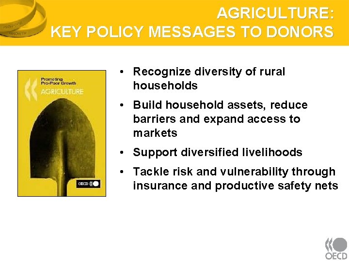 AGRICULTURE: KEY POLICY MESSAGES TO DONORS • Recognize diversity of rural households • Build