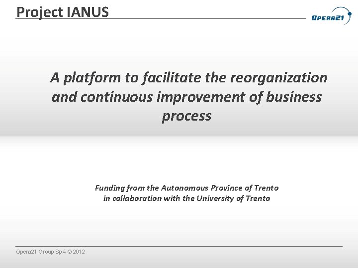 Project IANUS A platform to facilitate the reorganization and continuous improvement of business process