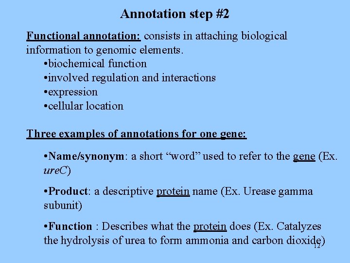 Annotation step #2 Functional annotation: consists in attaching biological information to genomic elements. •