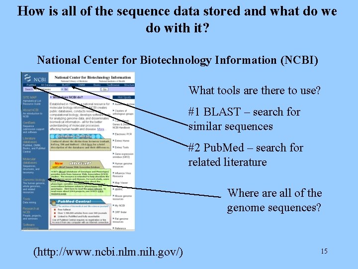 How is all of the sequence data stored and what do we do with