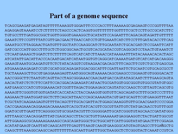 Part of a genome sequence TCAGCGAAGATGAGATAGTTTTTAAAGGTGGGATTTCCCCACCTTTAAAAAGCGAGAAGTCCCGGTTTTAA AGAGGAGTAAAATCCTCTTTTTCTAGCCCACTCAGGTGGTTTTTTTGGTTTTCGCTCCTTGCCGCATCTTC TGTGCCTTTGATGGCGGCTGGTTGGGGTGAAAGGCTGCATATTCCAGAATTTCAGACAGTAGATTGTTTTT GAAATCTTCCGTTTTATCGTTGACGAACTTAACCATCCTGTTGAAATCATCTTCCTTTGATACACCTTCAG GAAATGCCTTAGGAACTGATGTTTGGCTATCCAAGGCATCTTGCAATATCTGCACGATCTCCGAATTCATT GATCGCCCATTGGCCTTTGCTCTGGCGGCAACTGCGTCACGCATACCGTCAGGCATCCTAACTGTAAATCT CTCAATGAAAGCTGGATCTTCTTTTTCAGTCATCATCTTAAACCATAAAAATTTATACAAAACACACTAGC ATCATATTGACATTACCCACAATGACATCATAATGGTGTCAGGCATCAAAATGATGTCATCATGACAAGGG GAAAGTAAATGCAAGATGTTCTCTATACAGGTCGTAAGAACGACAGCTTTCAGCTTCGTCTGCCTGAGCGA