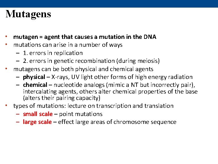 Mutagens • mutagen = agent that causes a mutation in the DNA • mutations
