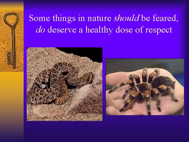 Some things in nature should be feared, do deserve a healthy dose of respect