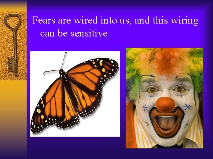 Fears are wired into us, and this wiring can be sensitive 