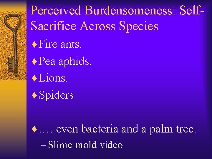 Perceived Burdensomeness: Self. Sacrifice Across Species ¨Fire ants. ¨Pea aphids. ¨Lions. ¨Spiders ¨…. even