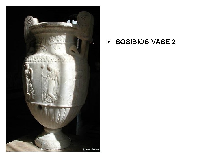  • SOSIBIOS VASE 2 